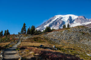 Skyline Trail to Mount Rainier
