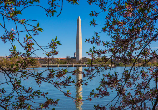 Washington Monument